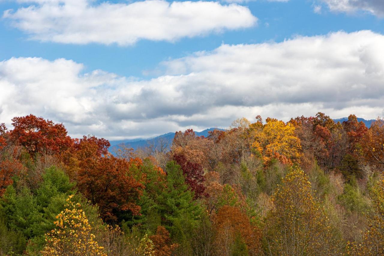 Ridge View Lodge Nature And Mountain View - Hot Tub - Firepit - Yard - Games Gatlinburg Exterior foto